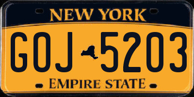 NY license plate GOJ5203