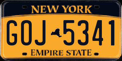 NY license plate GOJ5341