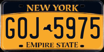 NY license plate GOJ5975