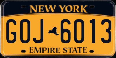 NY license plate GOJ6013