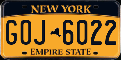 NY license plate GOJ6022
