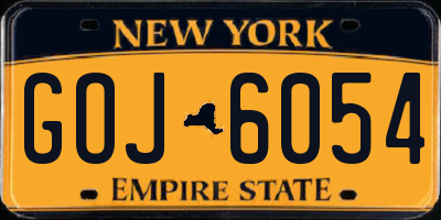 NY license plate GOJ6054
