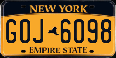 NY license plate GOJ6098