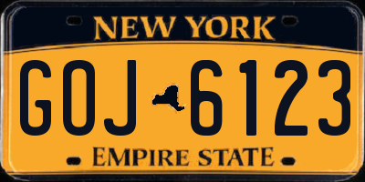 NY license plate GOJ6123