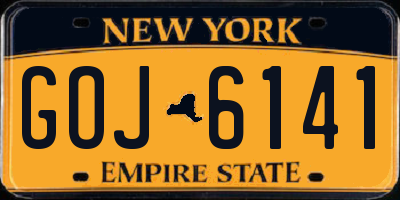 NY license plate GOJ6141