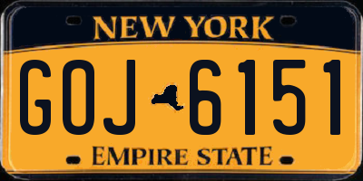 NY license plate GOJ6151