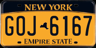 NY license plate GOJ6167
