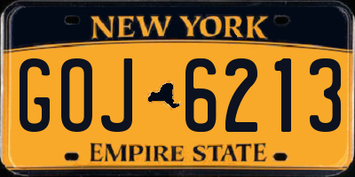 NY license plate GOJ6213
