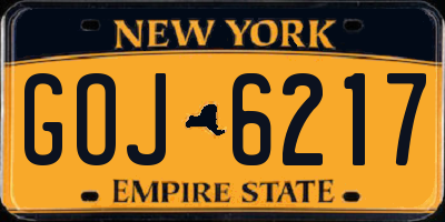 NY license plate GOJ6217
