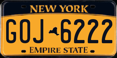 NY license plate GOJ6222