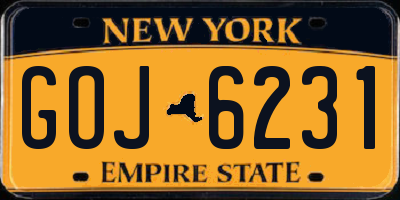 NY license plate GOJ6231