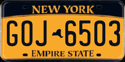 NY license plate GOJ6503