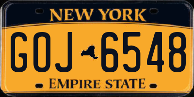 NY license plate GOJ6548