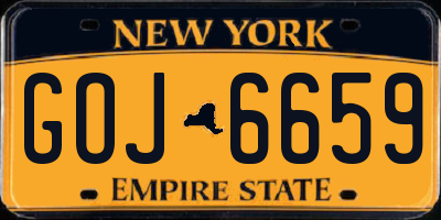 NY license plate GOJ6659