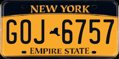 NY license plate GOJ6757