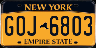 NY license plate GOJ6803
