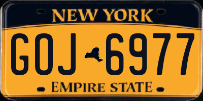 NY license plate GOJ6977