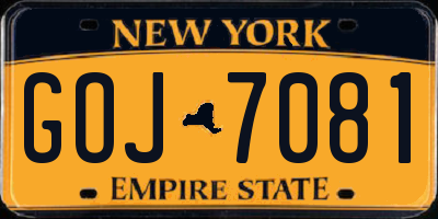 NY license plate GOJ7081