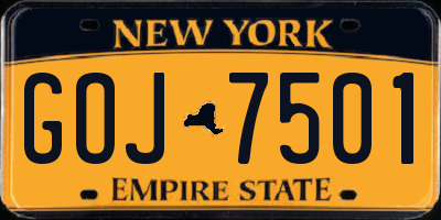 NY license plate GOJ7501