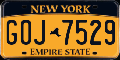 NY license plate GOJ7529