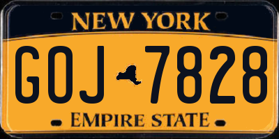 NY license plate GOJ7828