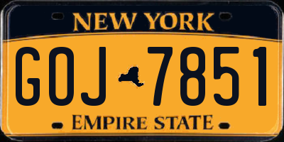 NY license plate GOJ7851
