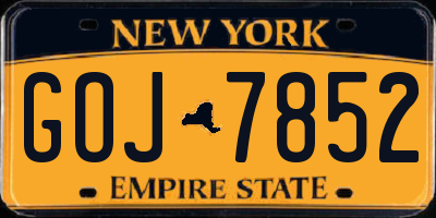 NY license plate GOJ7852