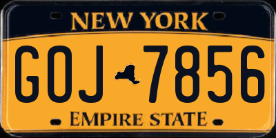 NY license plate GOJ7856