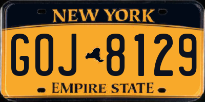 NY license plate GOJ8129