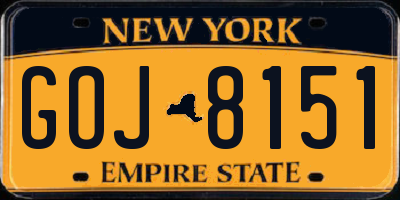 NY license plate GOJ8151