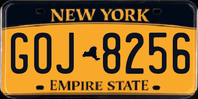 NY license plate GOJ8256