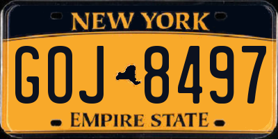 NY license plate GOJ8497