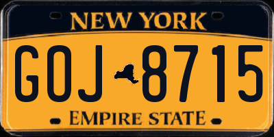 NY license plate GOJ8715