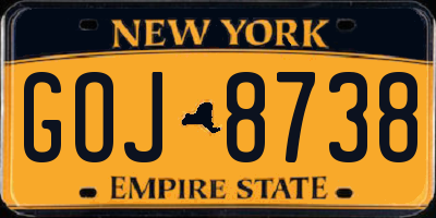 NY license plate GOJ8738