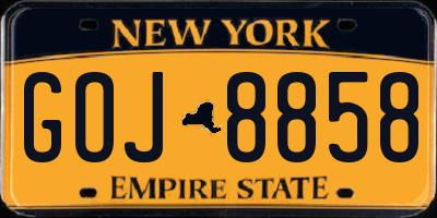 NY license plate GOJ8858