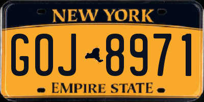 NY license plate GOJ8971