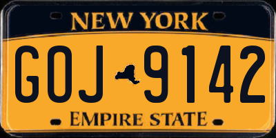NY license plate GOJ9142