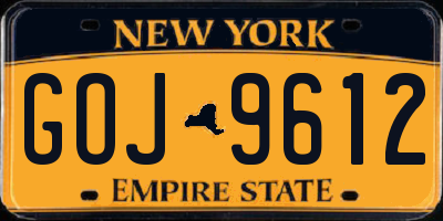NY license plate GOJ9612