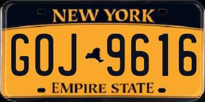 NY license plate GOJ9616