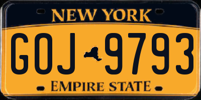 NY license plate GOJ9793