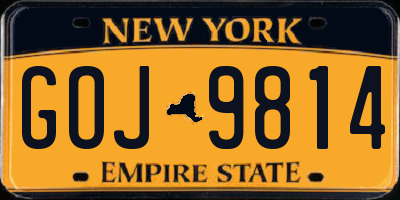 NY license plate GOJ9814
