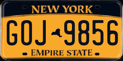NY license plate GOJ9856