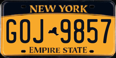 NY license plate GOJ9857