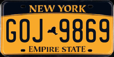 NY license plate GOJ9869