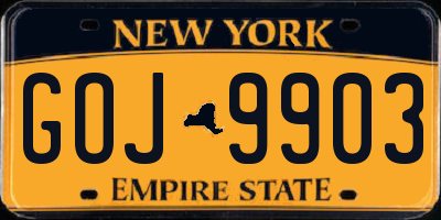 NY license plate GOJ9903