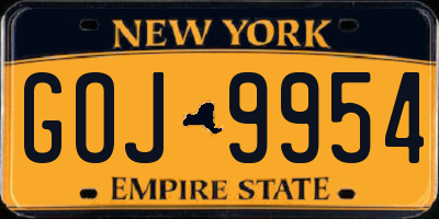 NY license plate GOJ9954