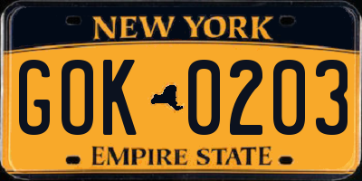 NY license plate GOK0203