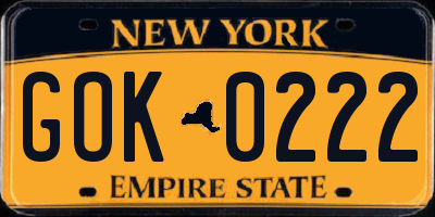 NY license plate GOK0222