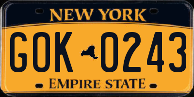 NY license plate GOK0243