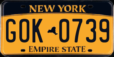 NY license plate GOK0739